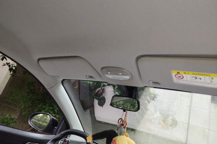 Used Chery QQ Little Ant 2024 Youth Edition 321km Only Love Version 29.23 kWh Headliner