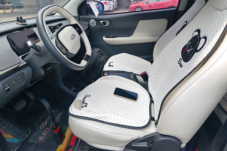 Used Chery QQ Little Ant 2024 Facelifted 321km Beloved Edition Left Front Seat