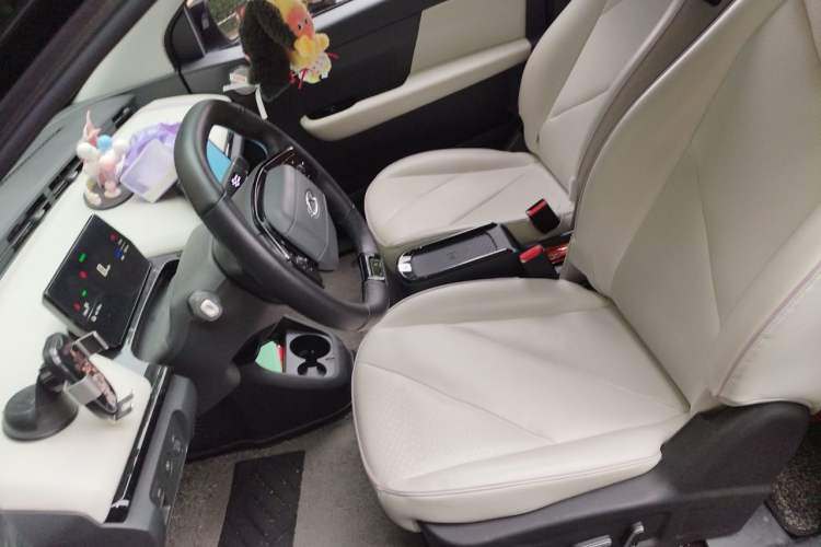 Used Chery QQ Little Ant 2024 Youth Edition 321km Only Love Version 29.23 kWh Left Front Seat