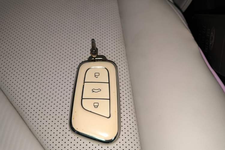 Used Chery QQ Little Ant 2024 Refreshed Version Youth Edition 321 km Beloved Edition 29.23 kWh Vehicle Key