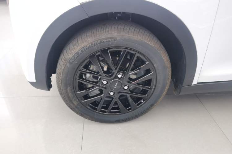 Used Chery QQ Little Ant 2024 Edition Youth Version 251km True Love Edition 25.05 kWh Exterior 4