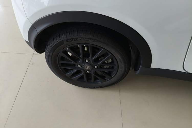 Used Chery QQ Little Ant 2024 321km Love Edition Exterior 5