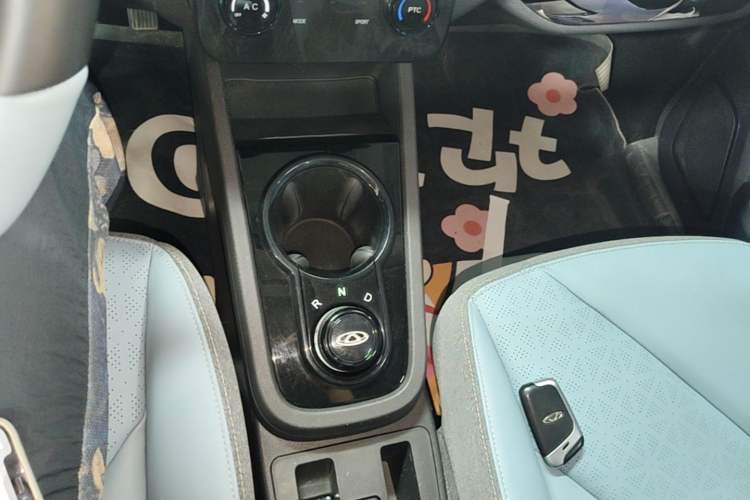 Used Chery QQ Little Ant 2024 Youth Edition 251km True Love Edition 23.99 kWh Gear Lever