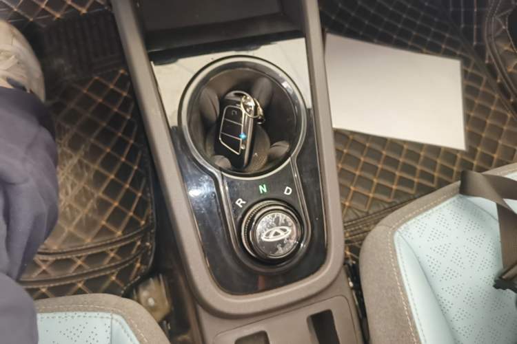 Used Chery QQ Little Ant 2024 Revised Version Youth Edition 251 km True Love Edition 25.05 kWh Gear Lever