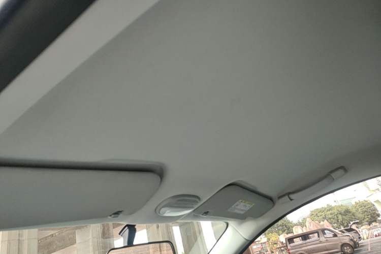Used Chery QQ Little Ant 2024 Youth Edition 251km True Love Edition 23.99 kWh Headliner