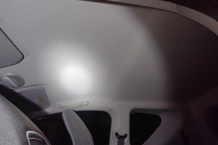 Used Chery QQ Little Ant 2024 251km True Love Edition Headliner