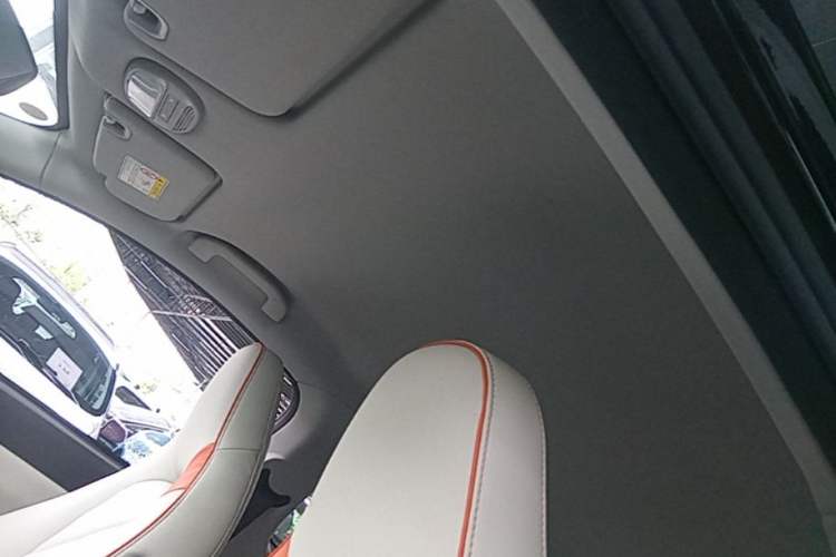 Used Chery QQ Little Ant 2024 Youth Edition 321km Only Love Version 29.23 kWh Headliner