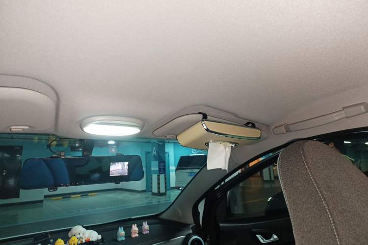 Used Chery QQ Little Ant 2024 251km True Love Edition Headliner