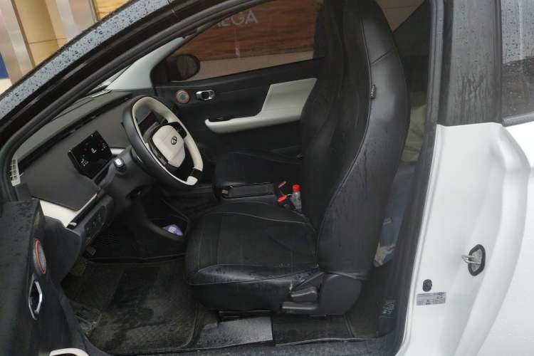Used Chery QQ Little Ant 2024 321km Love Edition Left Front Seat