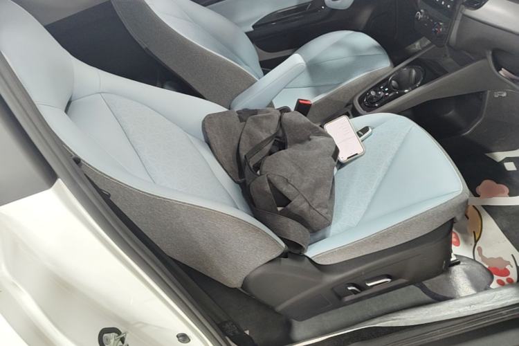 Used Chery QQ Little Ant 2024 Youth Edition 251km True Love Edition 23.99 kWh Right Front Seat