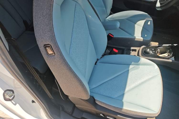 Used Chery QQ Little Ant 2024 251km True Love Edition Right Front Seat