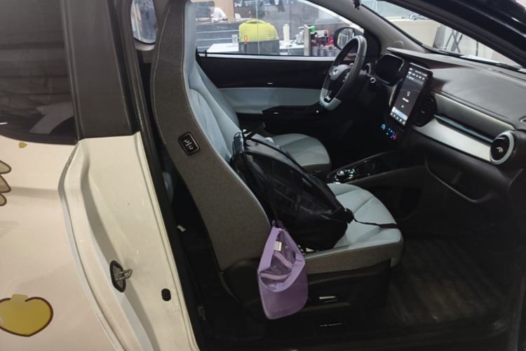 Used Chery QQ Little Ant 2024 Revised Version Youth Edition 251 km True Love Edition 25.05 kWh Right Front Seat