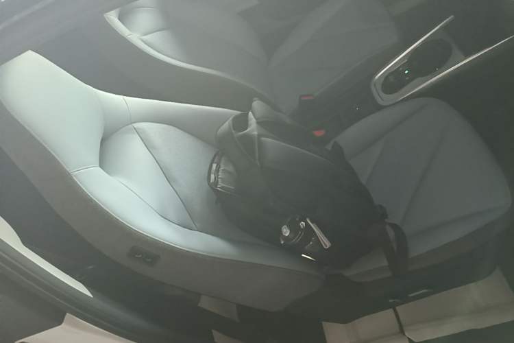 Used Chery QQ Little Ant 2024 251km True Love Edition Right Front Seat