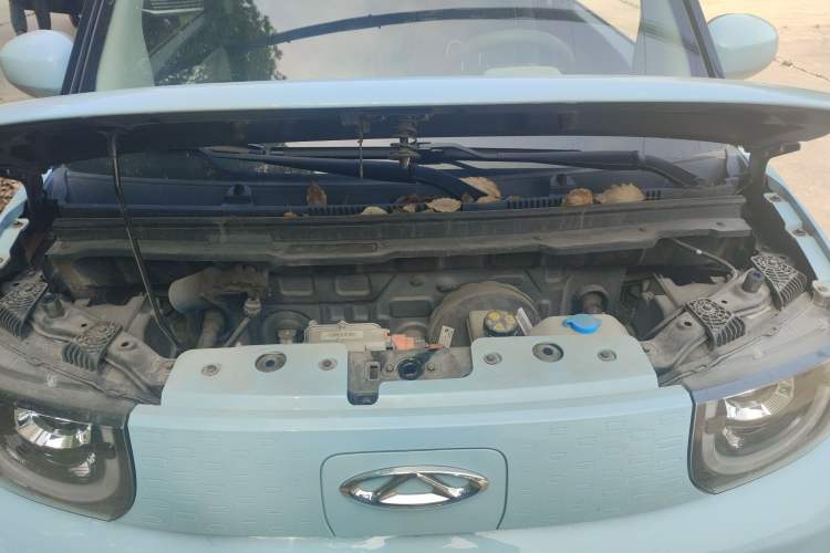 Used Chery QQ Ice Cream 2022 170km Sundae Phosphate Lithium-Ion Engine Bay