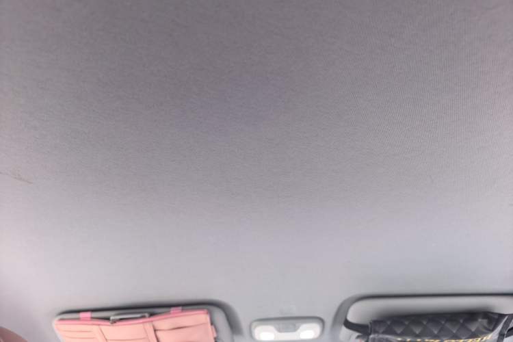 Used Chery QQ Ice Cream 2022 Taohuanxi Sweet Peach Edition Headliner