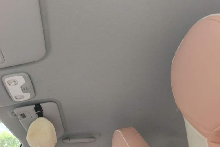 Used Chery QQ Ice Cream 2022 Taohuanxi Sweet Peach Edition Headliner