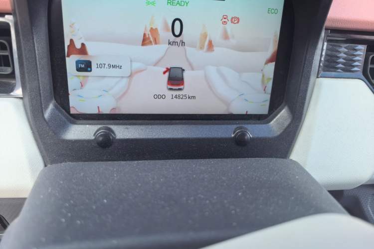 Used Chery QQ Ice Cream 2022 Taohuanxi Sweet Peach Edition Odometer Close Up