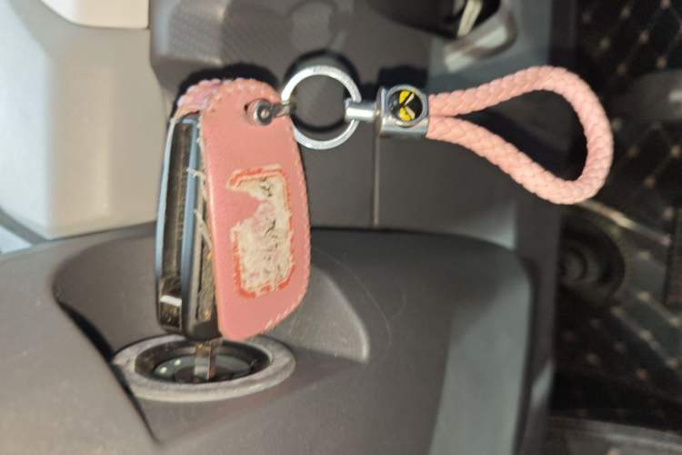 Used Chery QQ Ice Cream 2022 170km Sundae Phosphate Lithium-Ion Vehicle Key