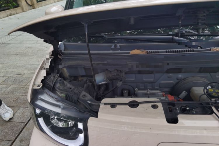 Used Chery QQ Ice Cream 2022 170km Sundae Phosphate Lithium-Ion Engine Bay Right