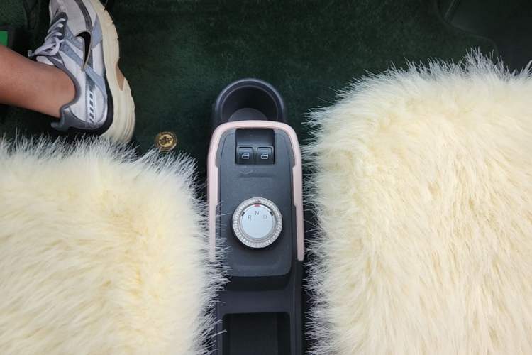Used Chery QQ Ice Cream 2022 170km Sundae Phosphate Lithium-Ion Gear Lever