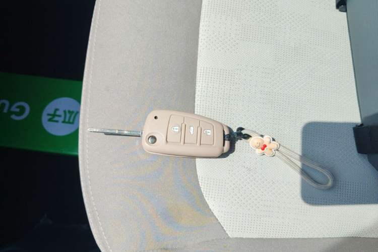 Used Chery QQ Ice Cream 2022 170km Sundae Phosphate Lithium-Ion Interior 1