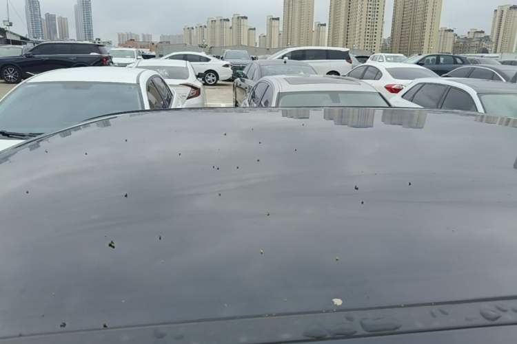 Used Chery QQ Ice Cream 2022 170km Sundae Phosphate Lithium-Ion Roof