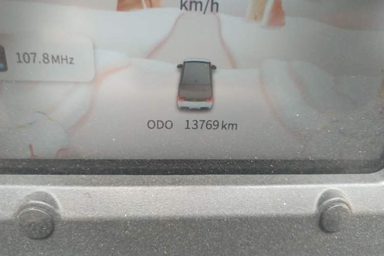 Used Chery QQ Ice Cream 2022 Taohuanxi Sweet Peach Edition Odometer Close Up