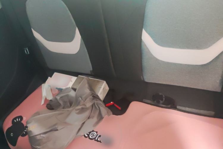 Used Chery QQ Ice Cream 2022 170km Sundae Phosphate Lithium-Ion Left Rear Seat
