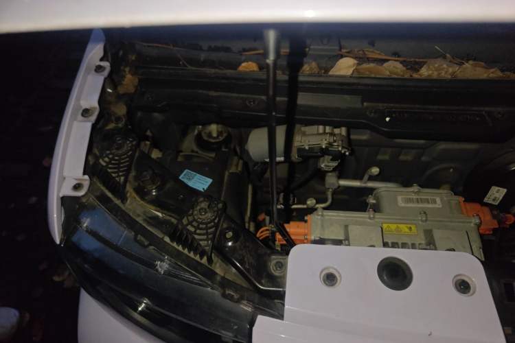 Used Chery QQ Ice Cream 2022 170km Sundae Phosphate Lithium-Ion Engine Bay Right
