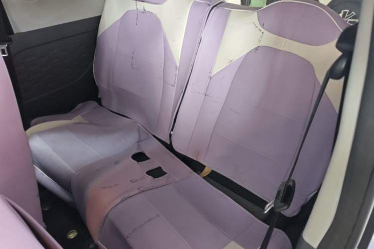 Used Chery QQ Ice Cream 2022 170km Sundae Phosphate Lithium-Ion Left Rear Seat