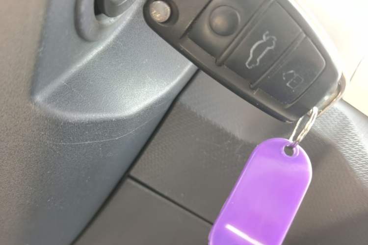 Used Chery QQ Ice Cream 2022 170km Sundae Phosphate Lithium-Ion Vehicle Key