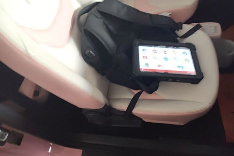 Used Chery QQ Ice Cream 2022 Taohuanxi Sweet Peach Edition Right Front Seat