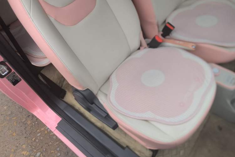 Used Chery QQ Ice Cream 2022 Taohuanxi Sweet Peach Edition Right Front Seat