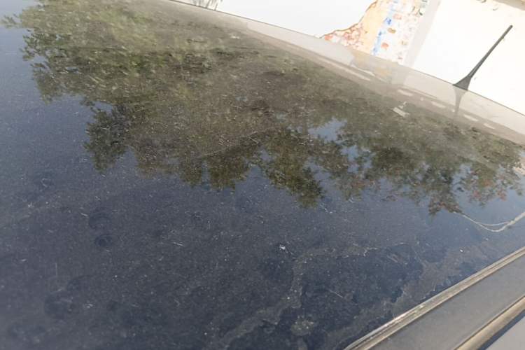 Used Chery QQ Ice Cream 2022 170km Sundae Phosphate Lithium-Ion Roof
