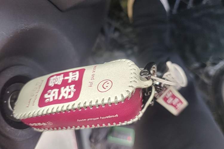 Used Chery QQ Ice Cream 2022 Taohuanxi Sweet Peach Edition Vehicle Key