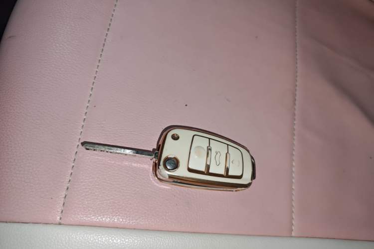 Used Chery QQ Ice Cream 2022 170km Sundae Phosphate Lithium-Ion Vehicle Key
