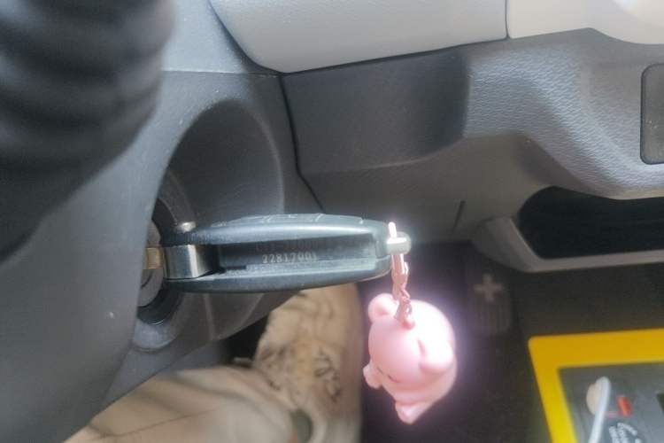 Used Chery QQ Ice Cream 2022 170km Sundae Phosphate Lithium-Ion Vehicle Key