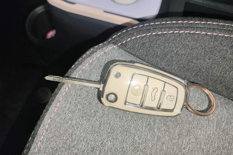 Used Chery QQ Ice Cream 2022 170km Sundae Phosphate Lithium-Ion Vehicle Key