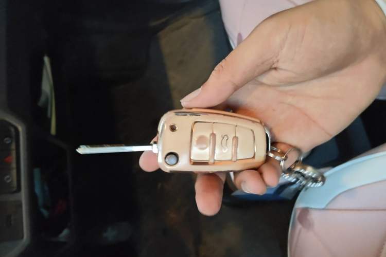 Used Chery QQ Ice Cream 2022 170km Sundae Phosphate Lithium-Ion Vehicle Key