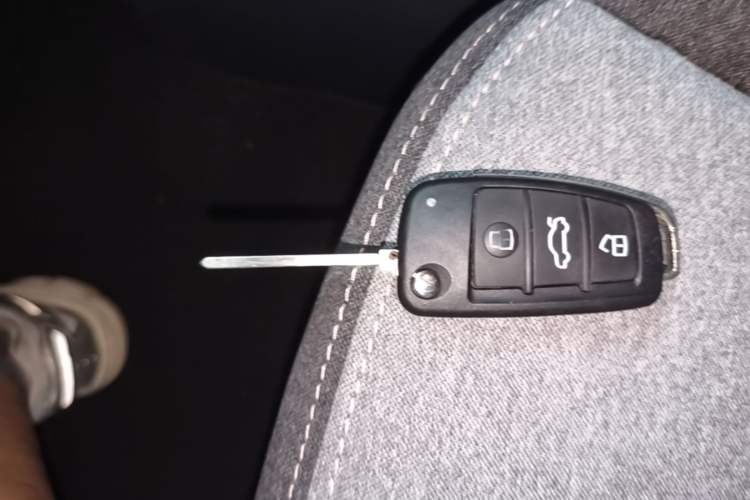 Used Chery QQ Ice Cream 2022 120km Conical Shape Lithium Iron Phosphate Vehicle Key