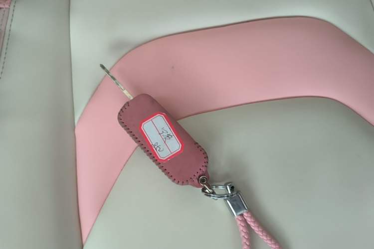 Used Chery QQ Ice Cream 2022 Taohuanxi Fragrant Peach Model Vehicle Key