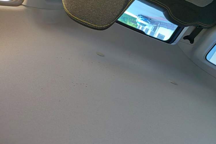 Used Chery QQ Ice Cream 2022 120km Milkshake Phosphate Lithium-Iron Headliner