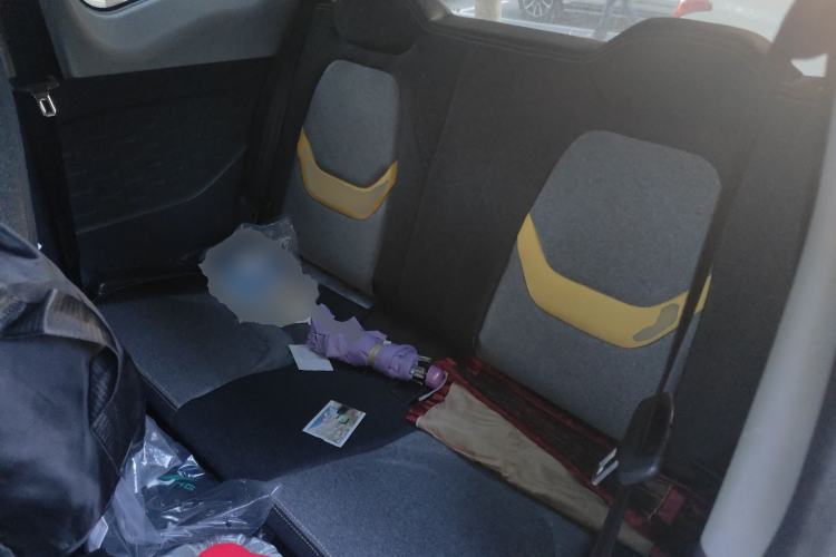 Used Chery QQ Ice Cream 2022 120km Milkshake Phosphate Lithium-Iron Left Rear Seat