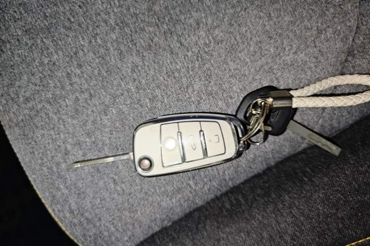 Used Chery QQ Ice Cream 2022 170km Sundae Phosphate Lithium-Ion Vehicle Key