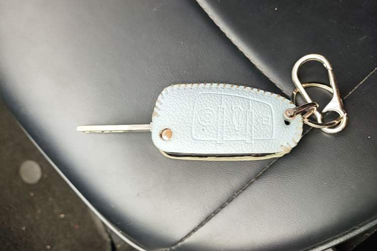 Used Chery QQ Ice Cream 2022 170km Sundae Phosphate Lithium-Ion Vehicle Key
