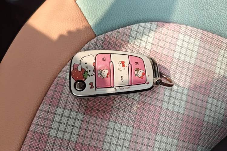 Used Chery QQ Ice Cream 2024 120km Milkshake Vehicle Key