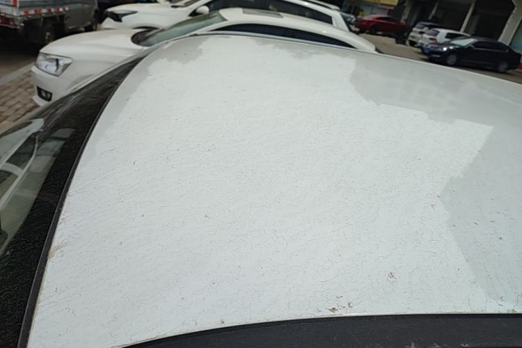 Used Chery QQ Ice Cream 2024 Edition Youth Version 205km Sundae Roof