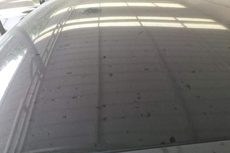 Used Chery QQ Ice Cream 2024 Edition Youth Version 205km Sundae Roof