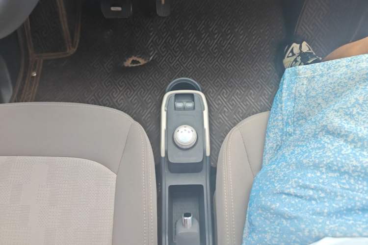 Used Chery QQ Ice Cream 2024 Edition Youth Version 205km Sundae Gear Lever