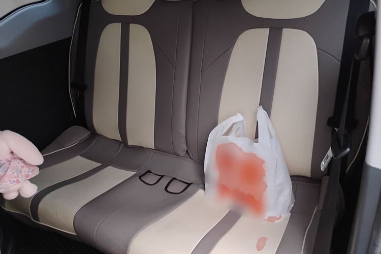 Used Chery QQ Ice Cream 2024 Youth Edition 205km Milkshake Interior 4